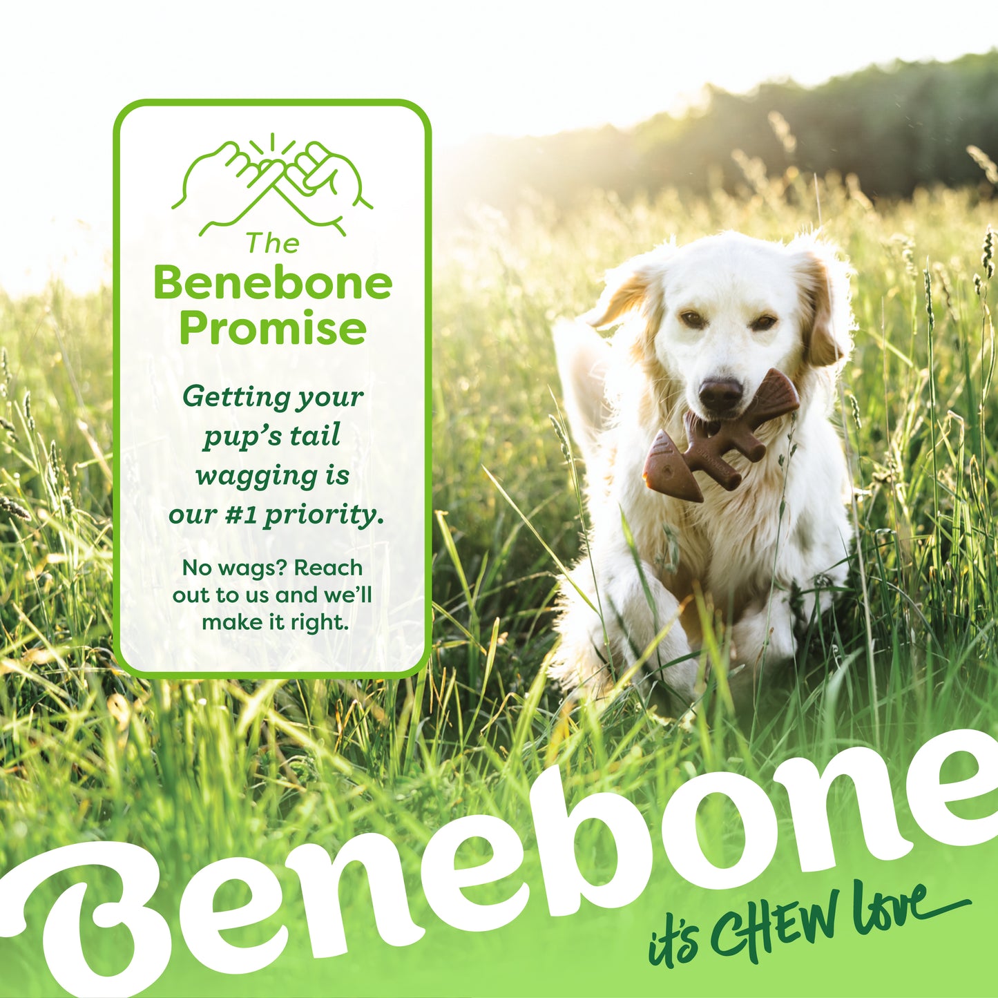 BENEBONE Juguete Masticable para Perro - Pescado | Grande