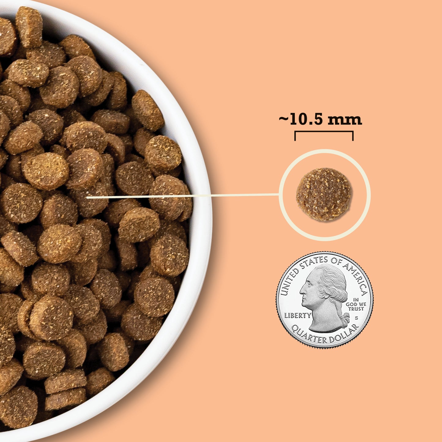 ACANA Wholesome Grains Receta para Cachorros | 4 lb