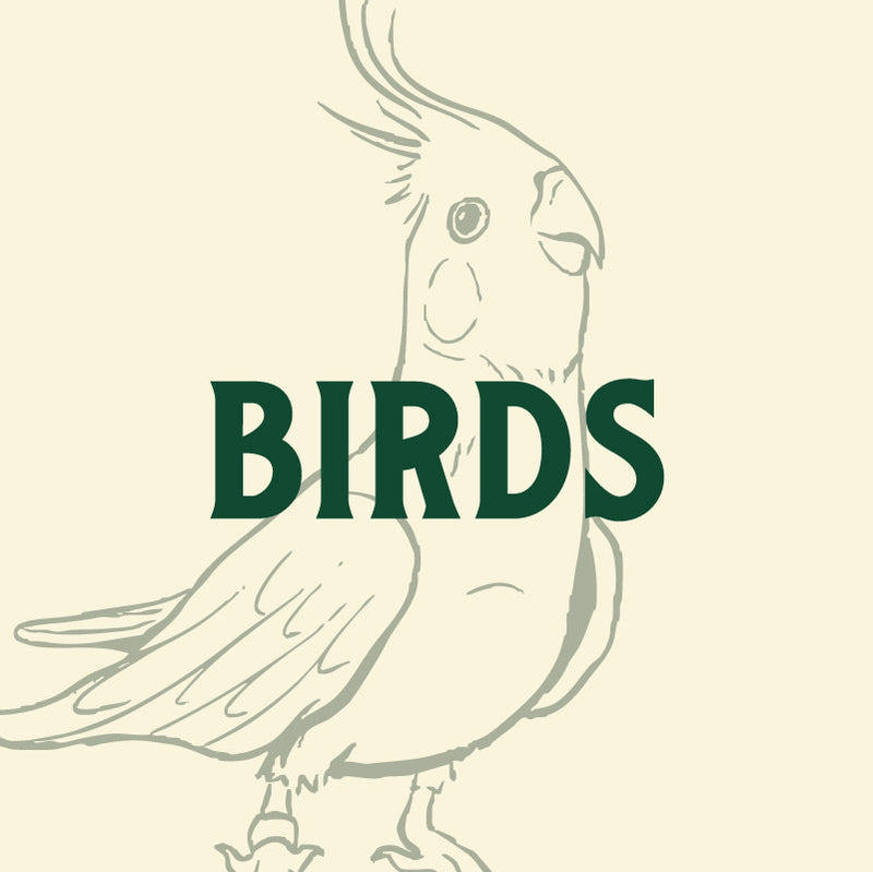 Birds