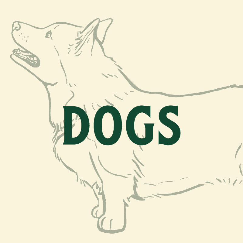 Dogs