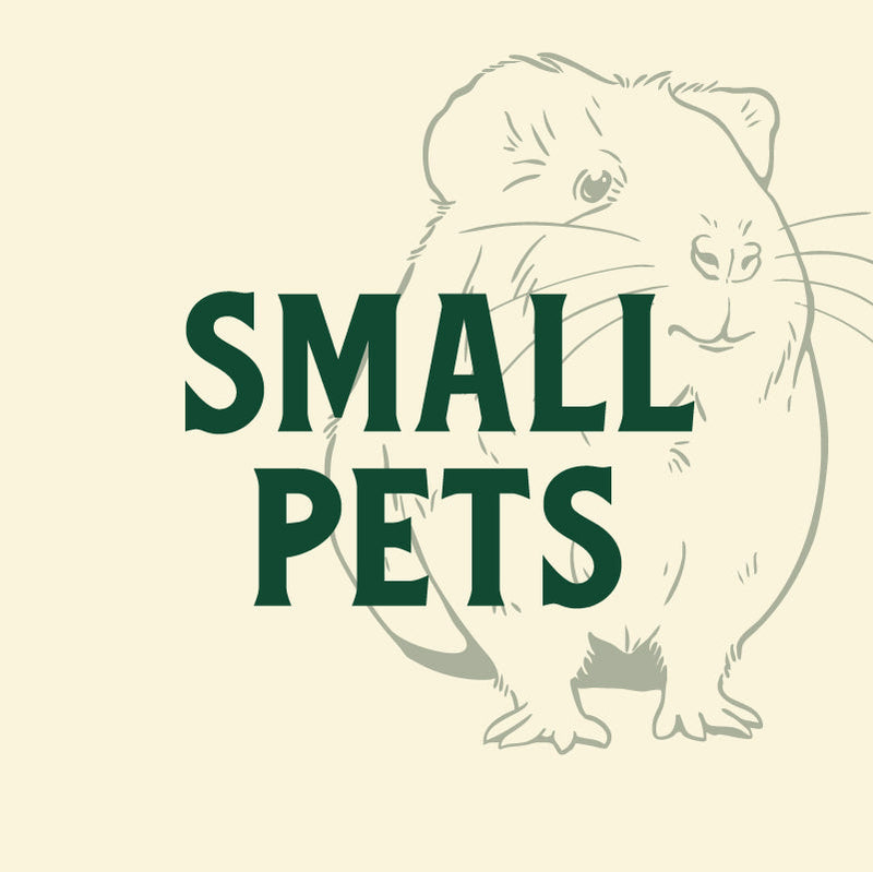 Small Pets