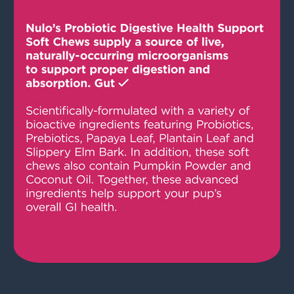 NULO Probióticos Masticables Suaves | 9.5 oz