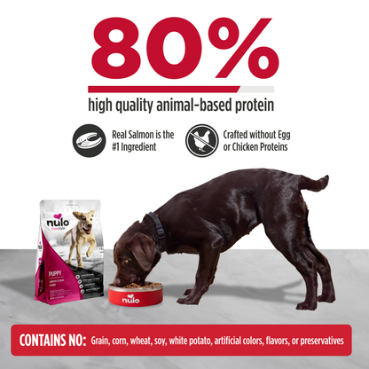 NULO Freestyle Cachorro Sin Cereales Salmón Guisantes | 10.8 kg