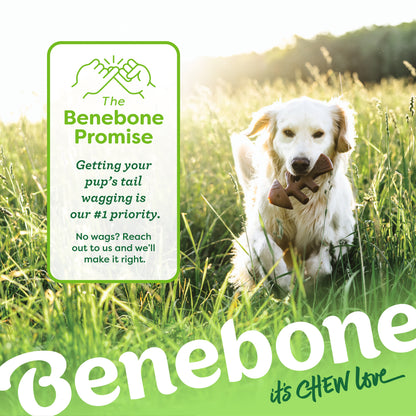 BENEBONE Juguete Masticable para Perro - Pescado | Grande