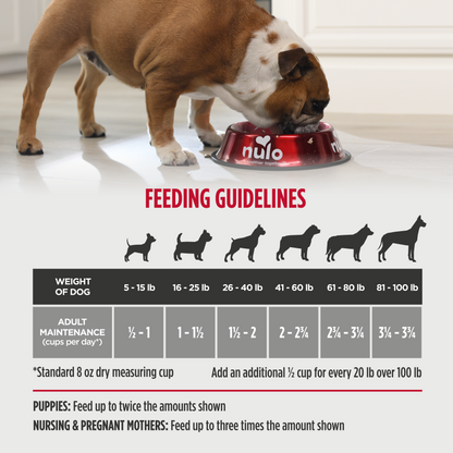 NULO Challenger Adulto/Cachorro Caza Mayor Aviar | 4.5lb
