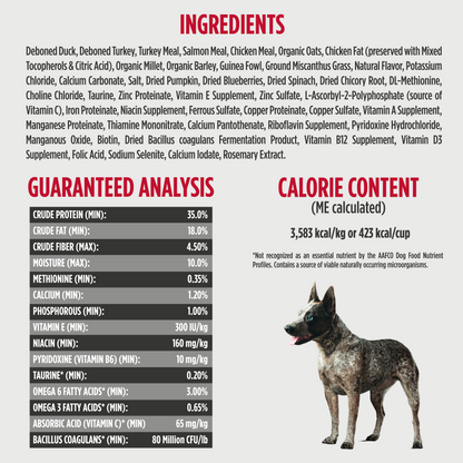 NULO Challenger Adulto/Cachorro Caza Mayor Aviar | 4.5lb