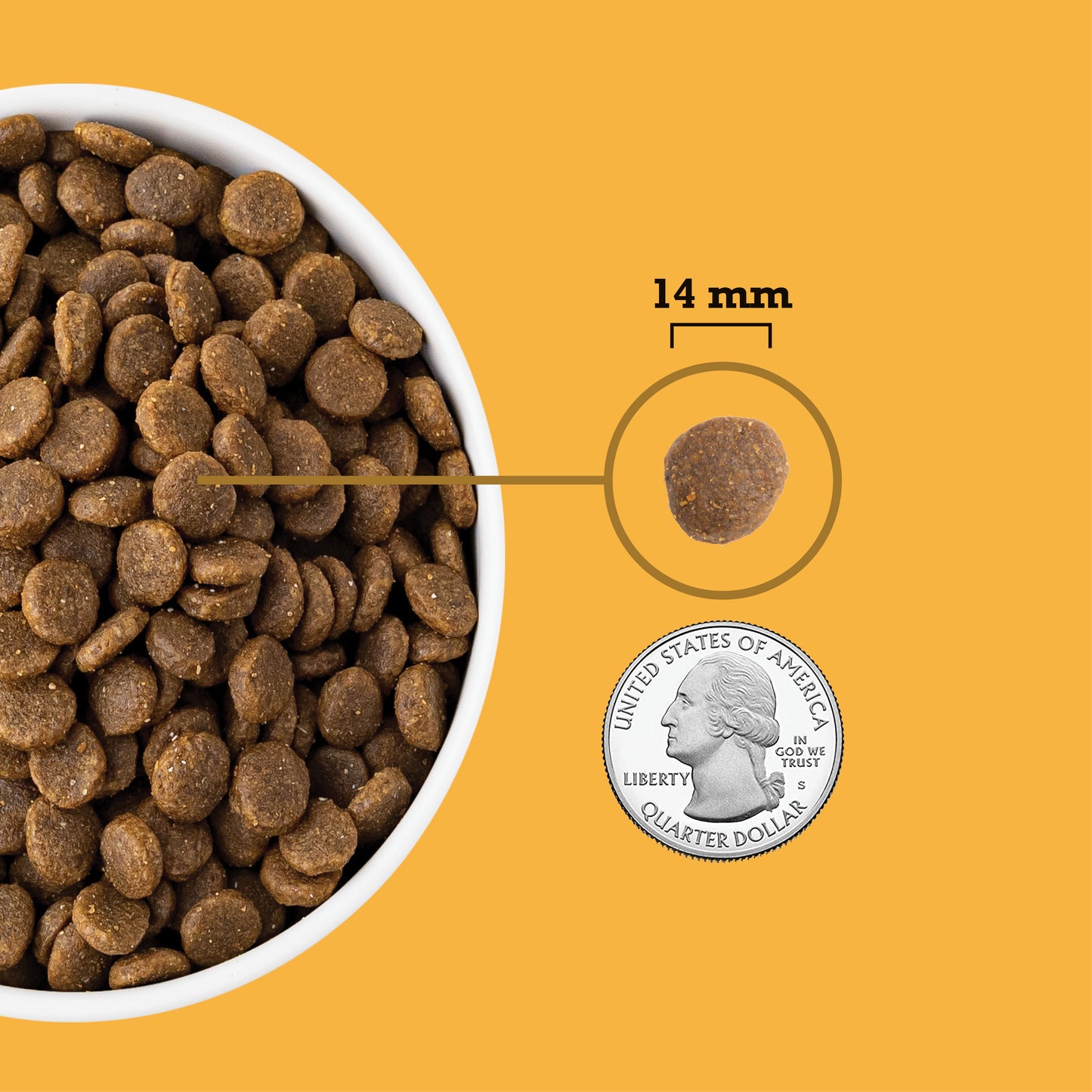 ACANA Receta de Aves de Corral de Corral de Corral Suelto Pollo/Pavo | 4.5 lb