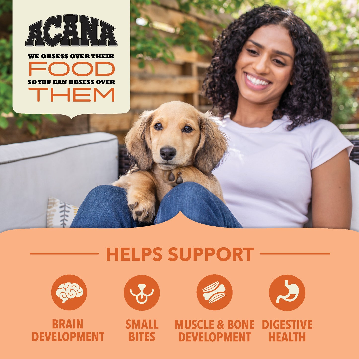 ACANA Wholesome Grains Receta para Cachorros | 4 lb