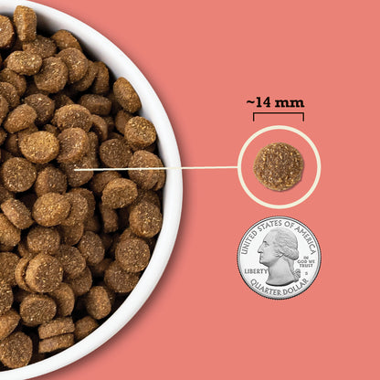 ACANA Wholesome Grains Carne Roja y Cereales | 22.5lb
