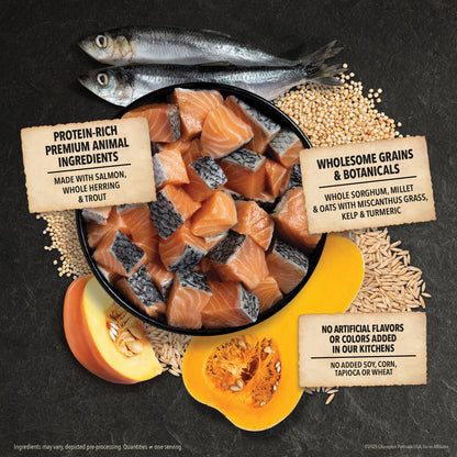 ACANA Wholesome Grains Receta del Mar al Arroyuelo | 22.5 lb