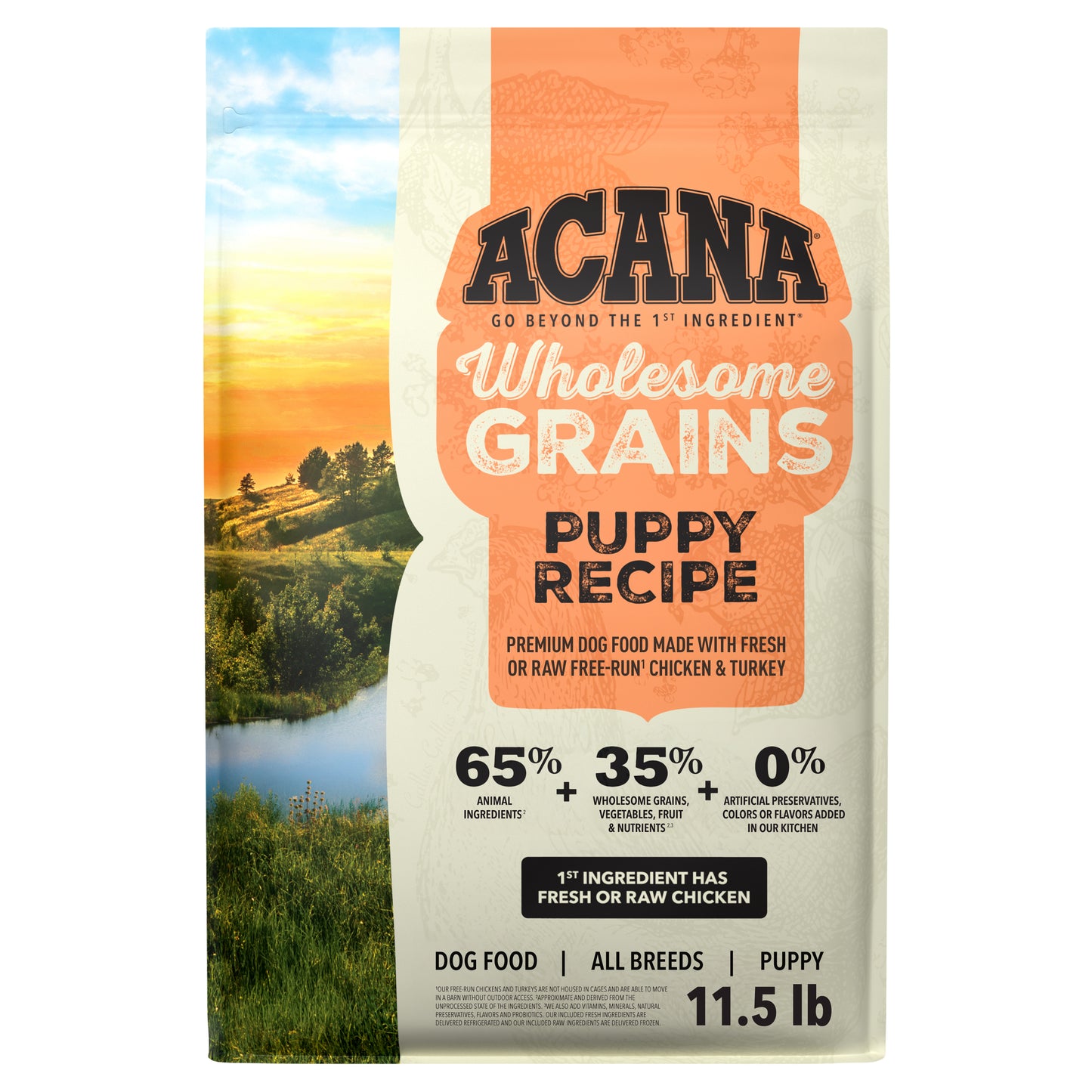 ACANA Wholesome Grains Receta para Cachorros | 11.5 lb