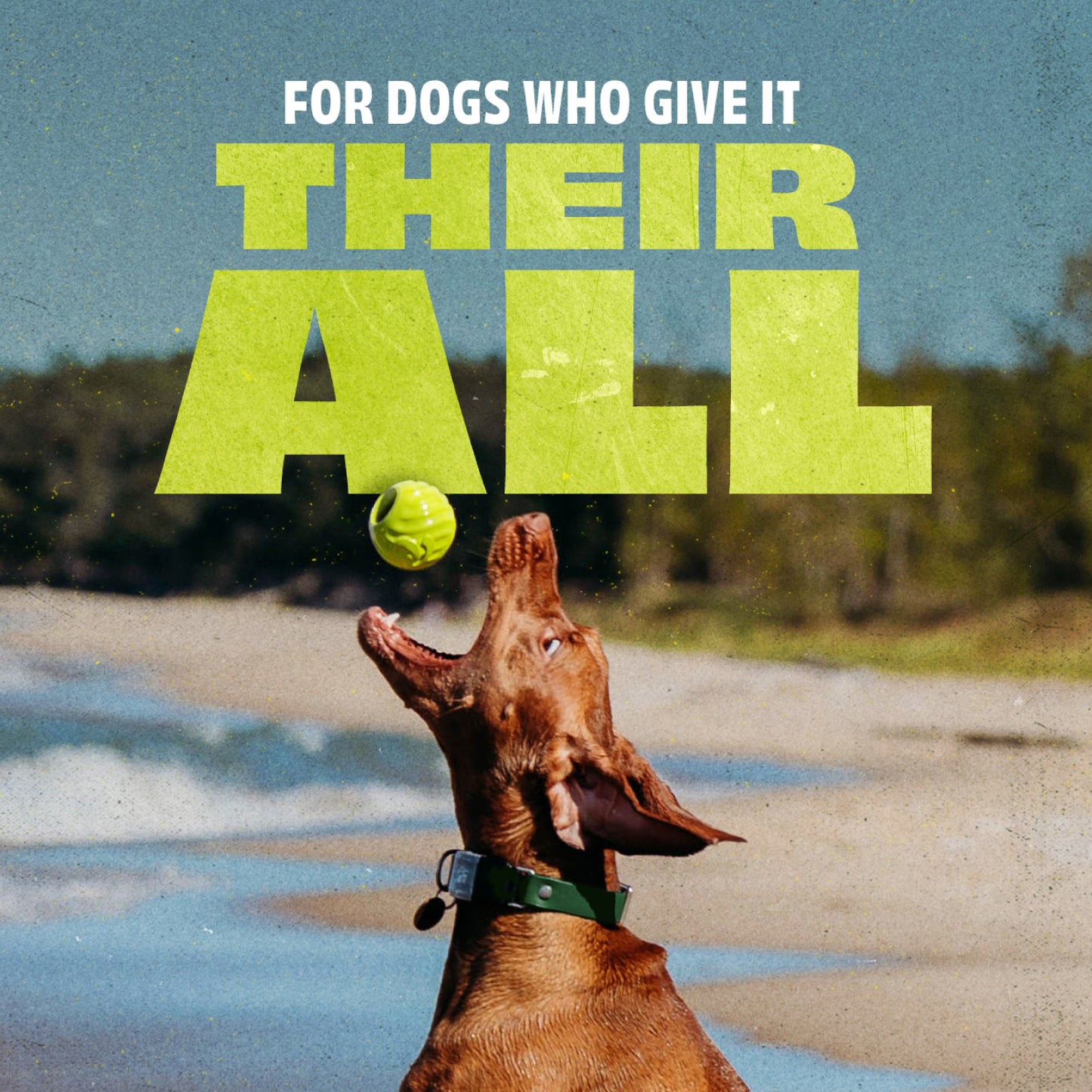 BENEBONE Pelota Rebotadora