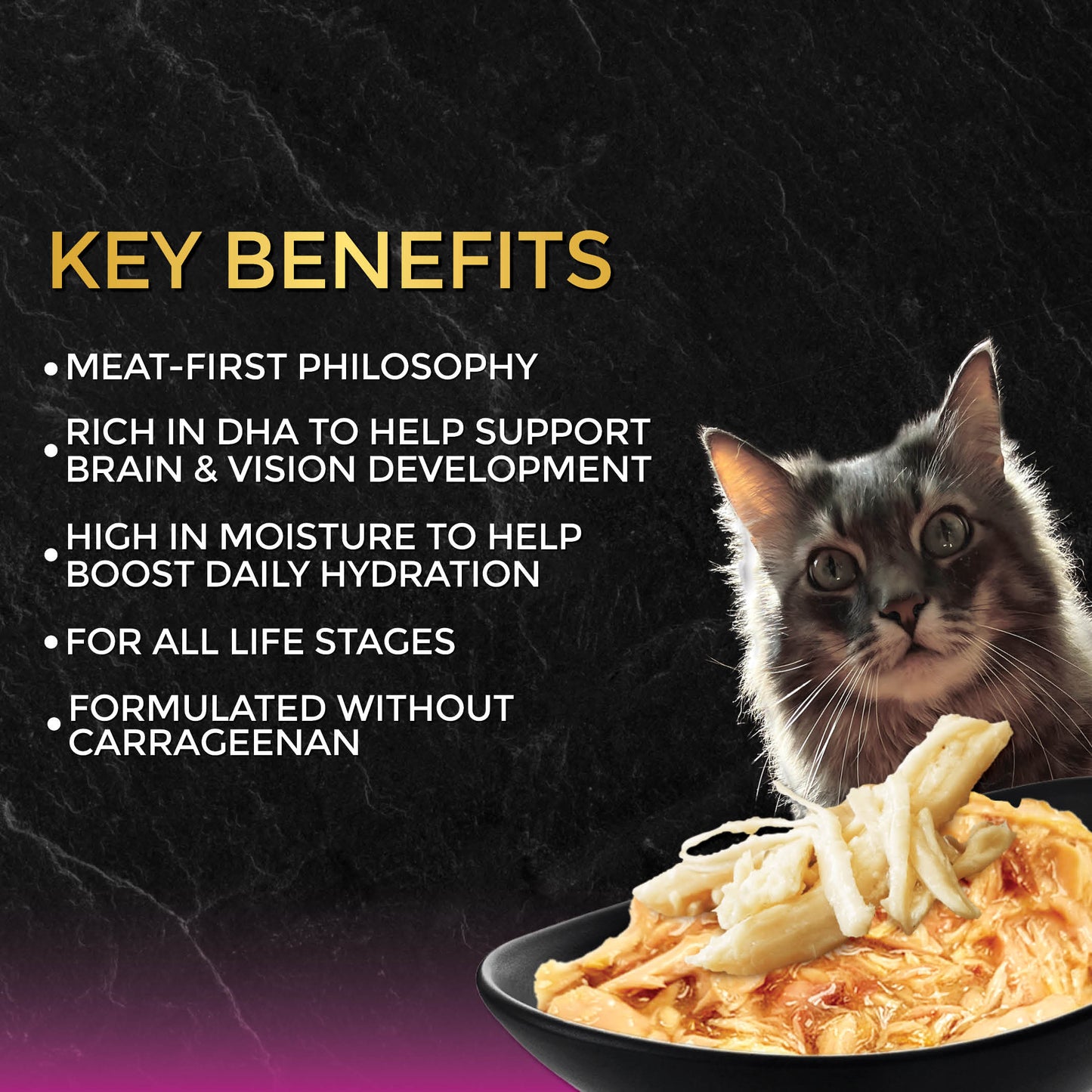 FUSSIE CAT Atún Premium con Pollo en Salsa - Lata para Gato | 80g