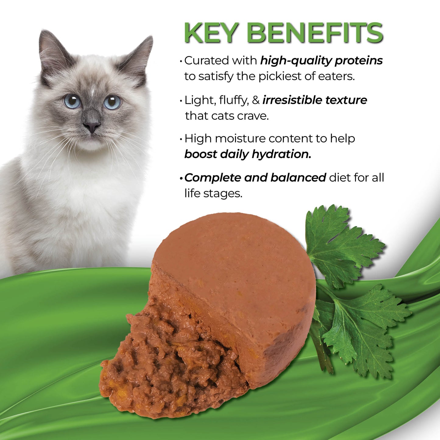 FUSSIE CAT Mousse de Pollo con Calabaza para Gatos - Lata de 70g