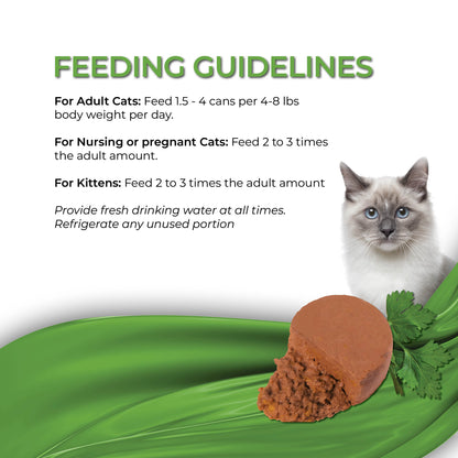 FUSSIE CAT Mousse de Pollo con Calabaza para Gatos - Lata de 70g