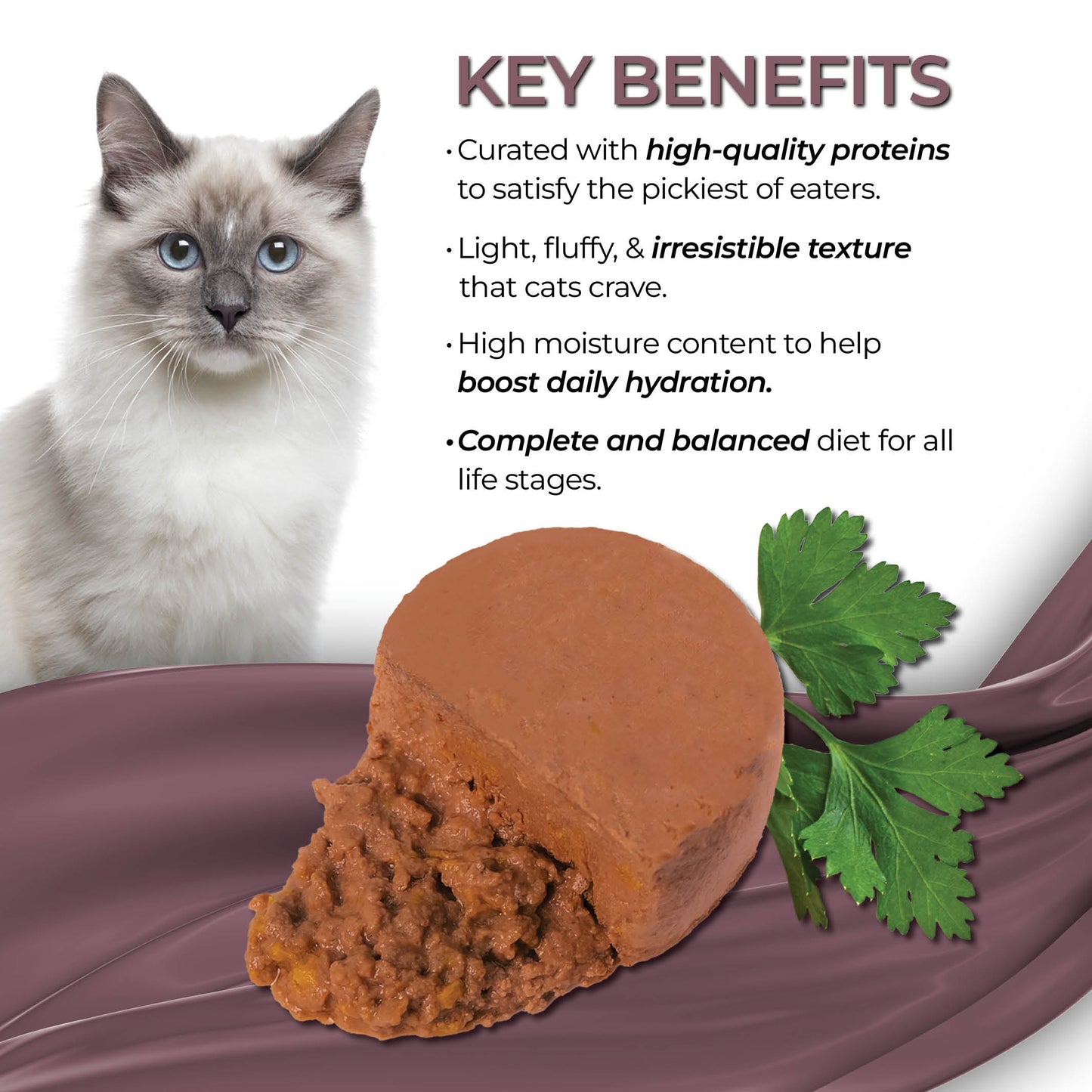 FUSSIE CAT Mousse de Caballa con Calabaza Gourmet - Comida Húmeda para Gatos | 70g