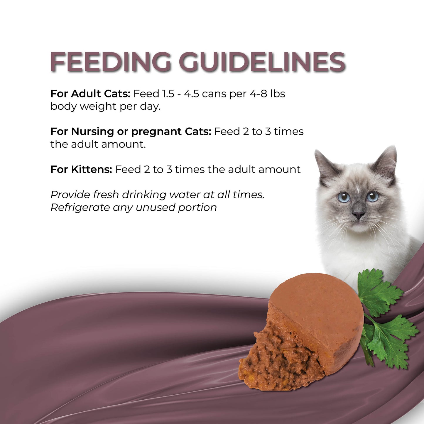 FUSSIE CAT Mousse de Caballa con Calabaza Gourmet - Comida Húmeda para Gatos | 70g