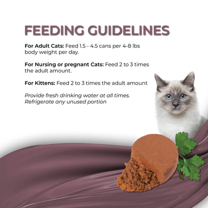FUSSIE CAT Mousse de Caballa con Calabaza Gourmet - Comida Húmeda para Gatos | 70g