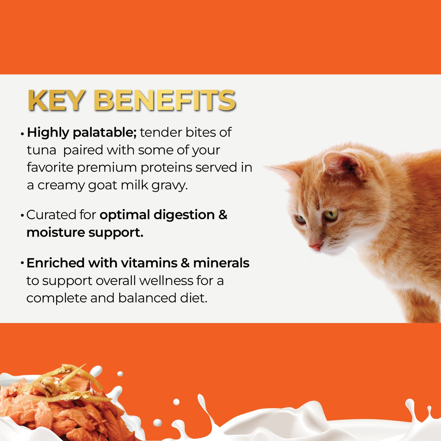 FUSSIE CAT Atún Premium con Anchoas en Leche de Cabra - Lata para Gatos | 2.47oz