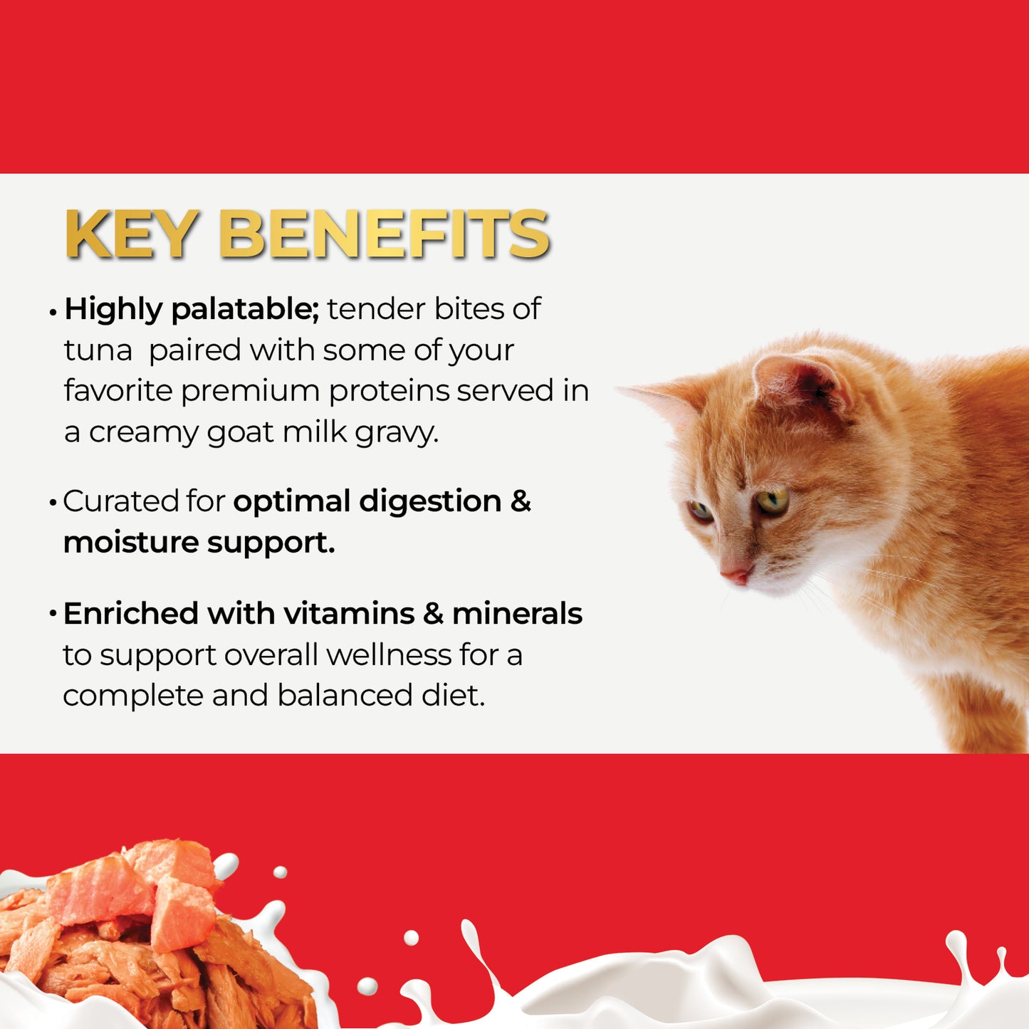 FUSSIE CAT Atún Premium con Salmón en Leche de Cabra - Lata para Gatos | 2.47oz