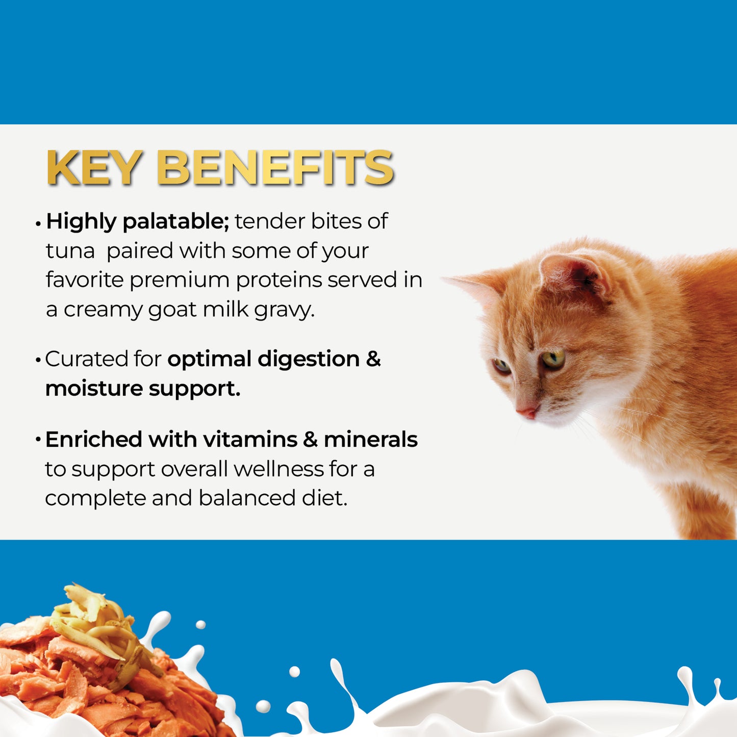 FUSSIE CAT Atún Premium con Anchoas Pequeñas en Leche de Cabra - Lata para Gato | 2.47oz