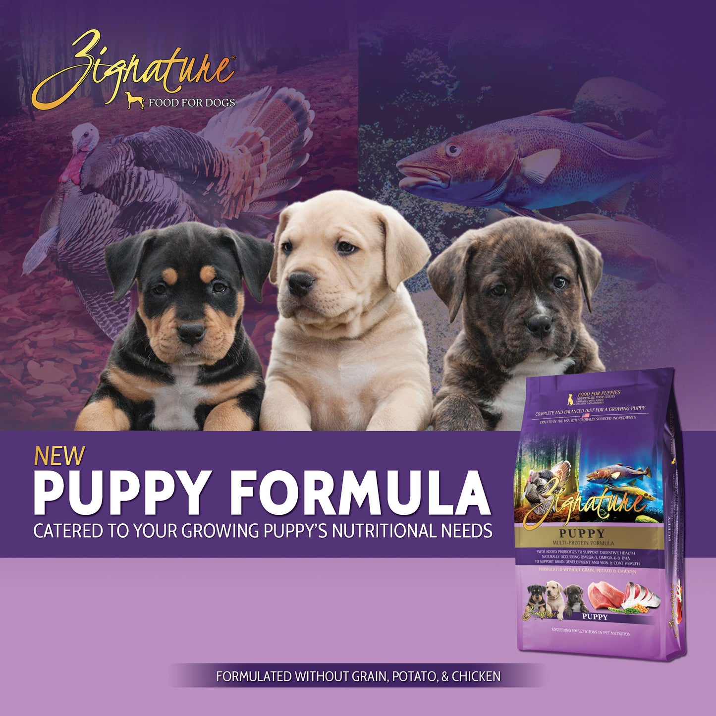ZIGNATURE Fórmula para Cachorros | 11.34 kg