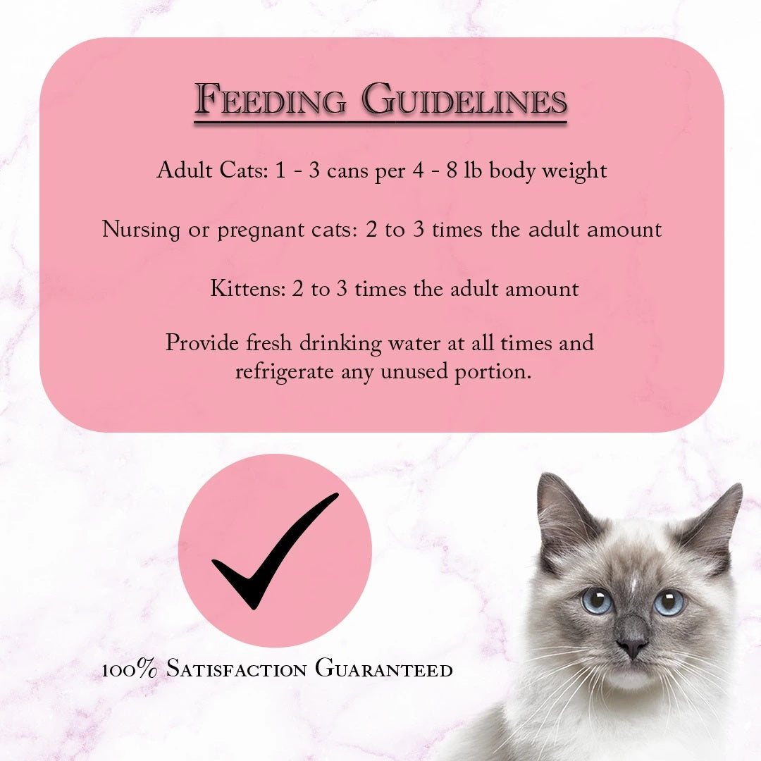 FUSSIE CAT Paté de Alta Cocina Sardina en Salsa - Lata para Gatos | 2.82oz